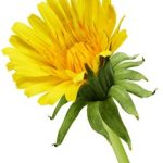 飞客bt搜索引擎 0y0d1tsk4u