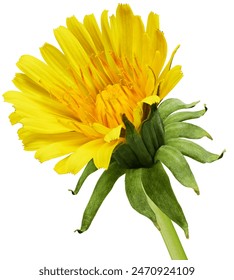 飞客bt搜索引擎 飞客bt搜索引擎