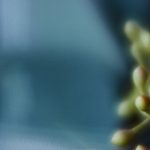 波多野结衣av不卡 27g5t4g