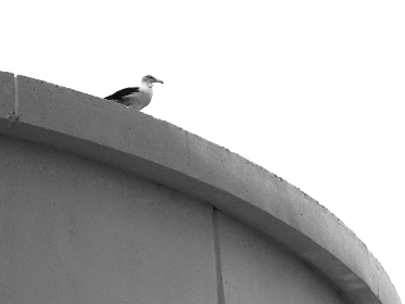 日本熟妇在线视频中文字幕 日本熟妇在线视频中文字幕