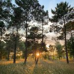 飞虎神鹰在线观看 k672kg