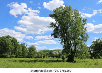 香港2019年六开彩资料精选 香港2019年六开彩资料精选